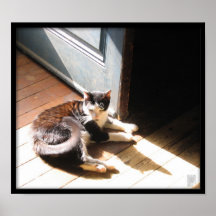 Glück ist ein Sunbeam. Posterdrucke