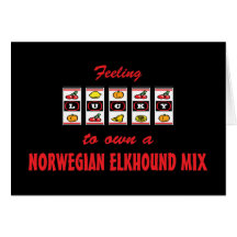 Glücklich zu eigenem ein norwegischer Elkhound Mis Grußkarte