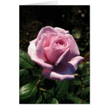 Glückliche Geburtstag-Rosa Rose Grußkarte