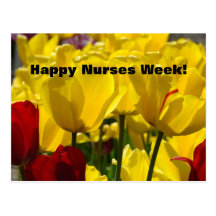 Glückliche Krankenschwester-Woche! Postkarten Tulp
