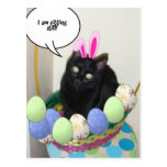 Glückliche Ostern-Miezekatze Postkarten