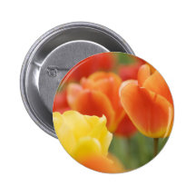 Glückliche Ostern-Tulpen Buttons