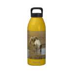 GLÜCKLICHE PFERDE TRINKFLASCHE