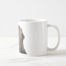 Glückliche Schokolade Labrador Teetasse