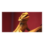 Glücklicher bärtiger Drache Photokarte