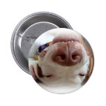 Glücklicher Hundeknopf Anstecknadelbuttons