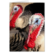 Glücklicher Thanksgiving~ Kimberly P-Chadwick Karte
