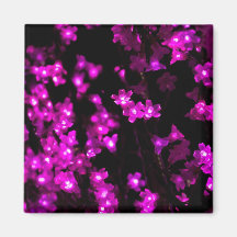 Glühende rosa Blumen-Lichter Kühlschrankmagnete