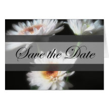 Glühende weiße Chrysanthemen 1 Save the Date Weddi Grußkarten