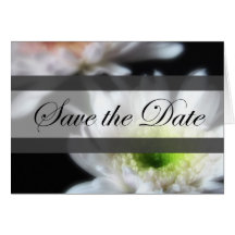 Glühende weiße Chrysanthemen 4 Save the Date Weddi Grußkarte