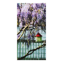 Glyzinien und Birdhouse Fotokarte