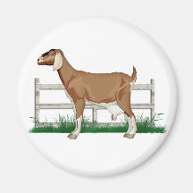 Goat on the Farm Beside a Fence Refrigerator Magnets