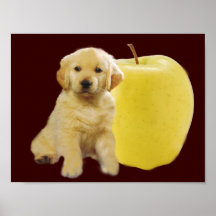 Golden deliciousdruck plakatdrucke