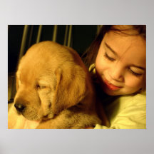 Golden retriever-Hündchen-Fotografie Plakatdruck