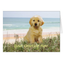 Golden retriever-Karte