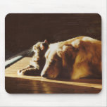 Golden retriever Mousepad Katzen-beste Freunde