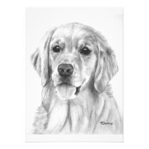 Golden retriever-Skizze Individuelle Einladungen