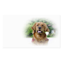 Golden retriever-Visitenkarte