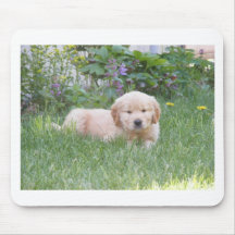 Golden retriever-Welpe Mauspad