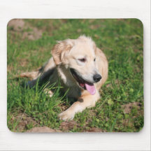 Golden retriever-Welpe Mousepad