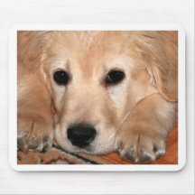 Golden retriever-Welpe Mousepads