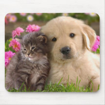 Golden retriever-Welpe und Kätzchen-Mausunterlage Mousepad