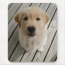 Golden retrieverwelpe mousepad