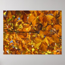 Goldene Herbstlaub-Plakat-Drucke