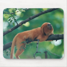 GOLDENE LÖWEtamarin-AFFEmarmoset-MAUSUNTERLAGE Mousepad