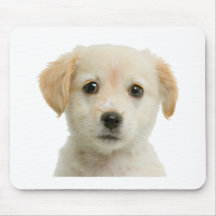 Goldener Labrador retriever-Welpe Mauspads