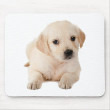 Goldener Labrador-Welpe Mousepad