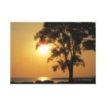 Goldener Morgen Leinwand Drucke