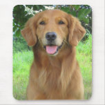 Goldener Retriever Maia hübsches Mousepad