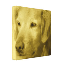 Goldener Welpen-Leinwand-Druck Galerie Faltleinwand