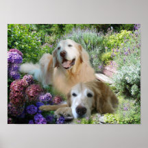 Goldenes Freund-Plakat