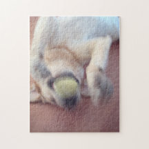 goldenes labrador retriever foto puzzle