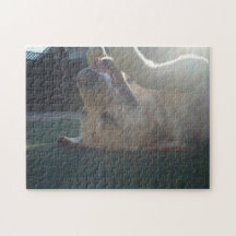 goldenes labrador retriever puzzles