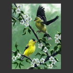 "Goldfinches" 12" x 16" Kunst-Druck poster