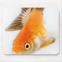 Goldfisch (Carassius auratus) Mauspad