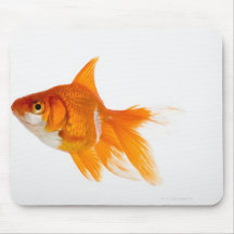 Goldfisch, Seitenansicht Mousepad