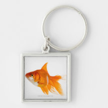 Goldfisch, Seitenansicht Schlüsselband