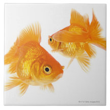 Goldfisch zwei, der sich kreuzt keramikfliese