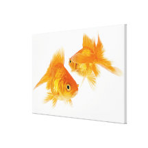 Goldfisch zwei, der sich kreuzt galerie falt leinwand