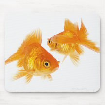 Goldfisch zwei, der sich kreuzt mauspads