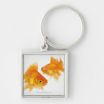 Goldfisch zwei, der sich kreuzt schlüsselband