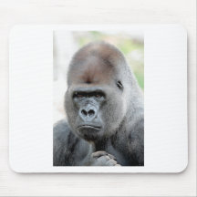 Gorilla portrait.jpg tapete de ratón