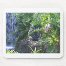 Gorilla und Wasserfall Mauspads