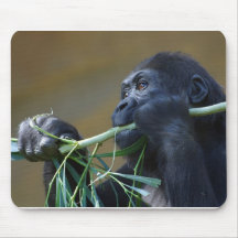Gorillaessen Mousepads