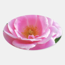 Göttliche rosa Rose Sticker