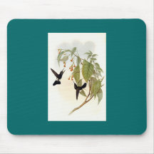 Gould - Hoary Hauch-Bein Kolibri Mousepad